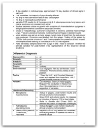 2005 page 21